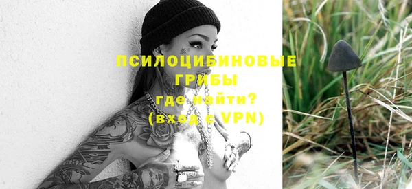 PSILOCYBIN Зеленокумск